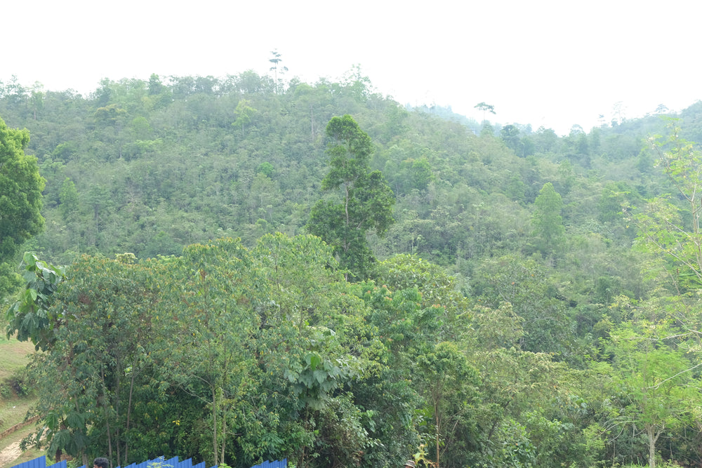 Shvéta Labs