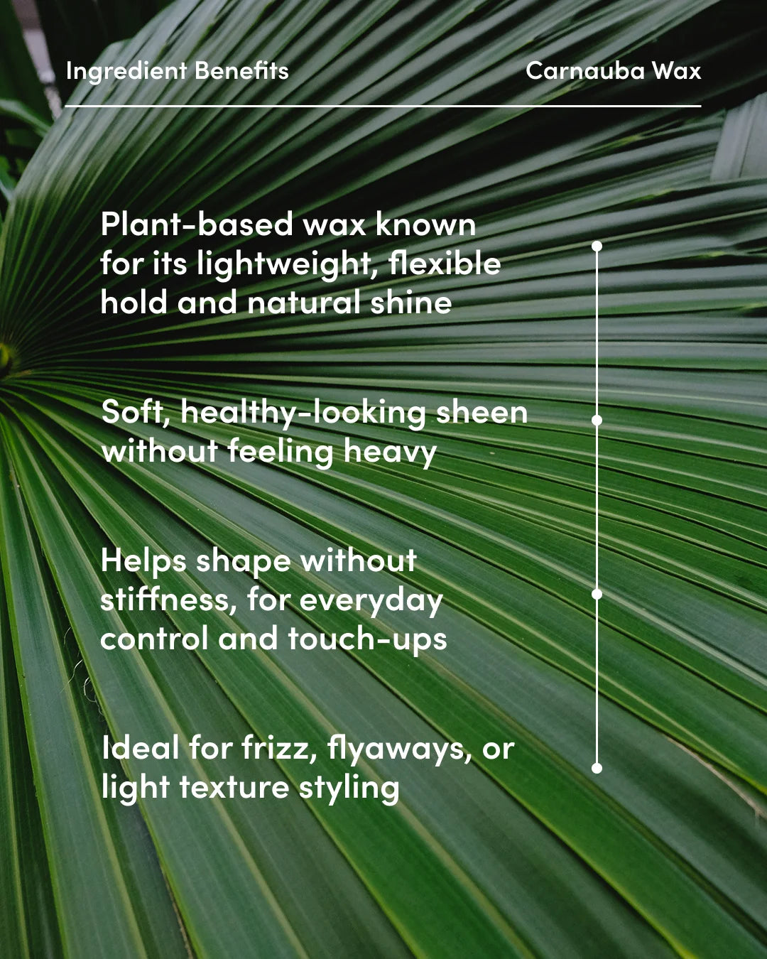 Carnauba wax benefits text overlay on a green leaf background