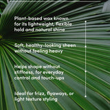 Carnauba wax benefits text overlay on a green leaf background