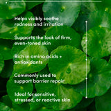Green leaves with text about Centella Asiatica benefits on a green background