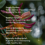 Honeysuckle flower with text on ingredient benefits against a blurred natural background