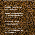 Rice bran with text detailing its benefits on a brown background