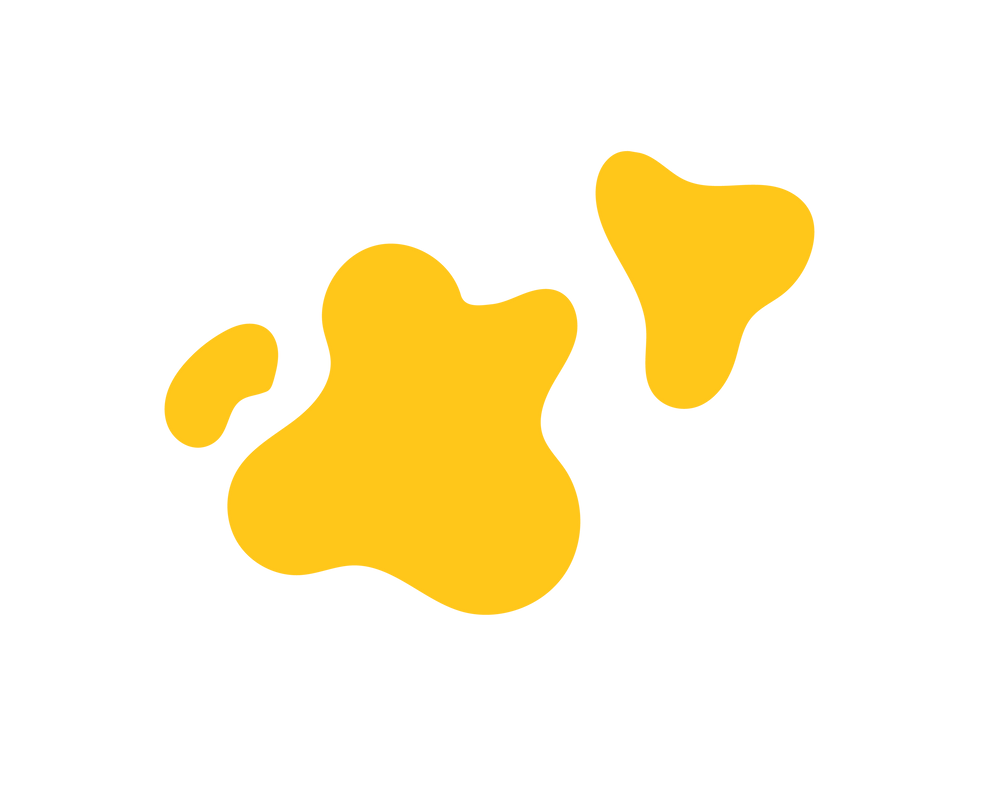 Shvéta Labs