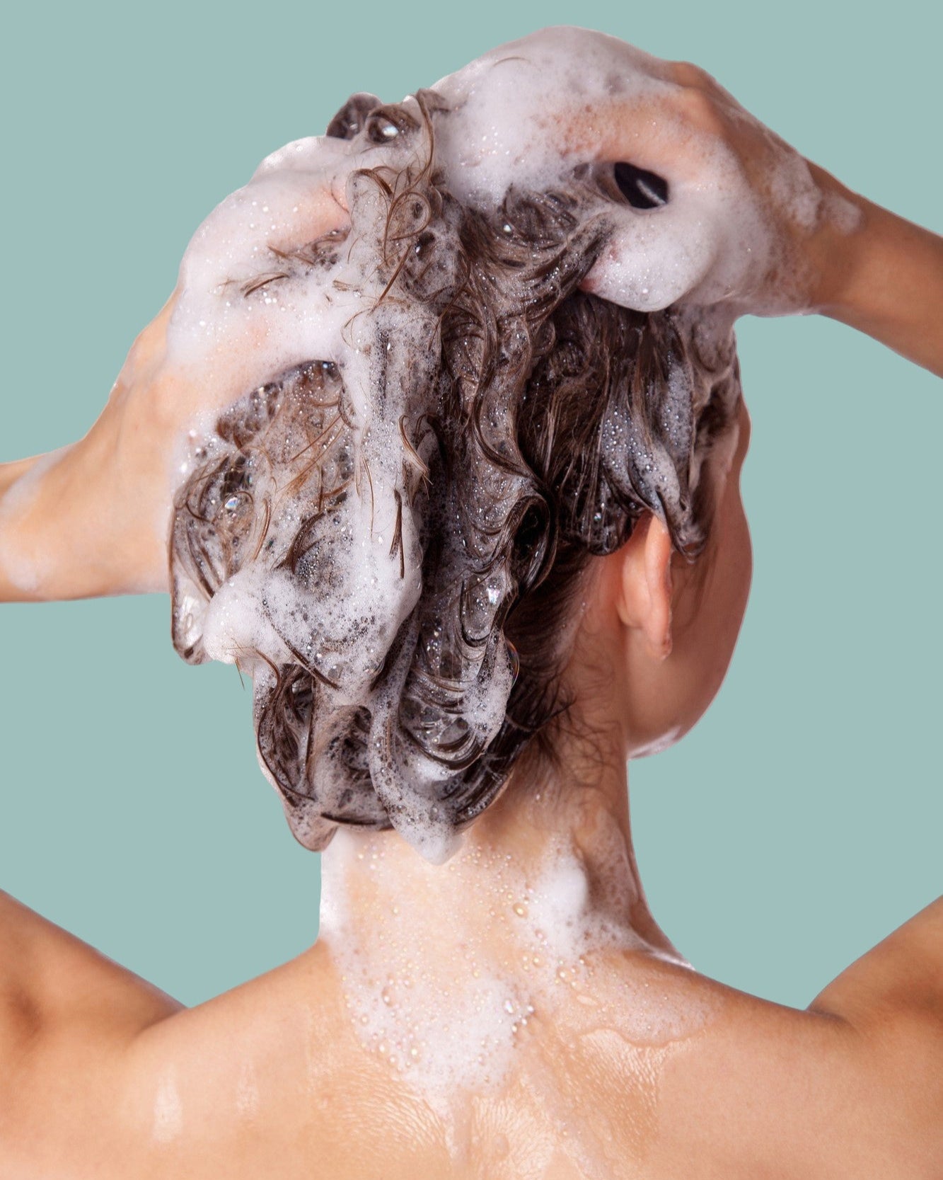 shampoo bar with ghee