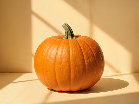 Pumpkin Seed Extract