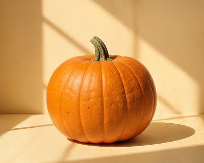 مستخلص بذور اليقطين